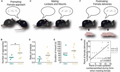 Hearing, touching, and multisensory integration during mate choice